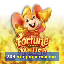 234 vip paga mesmo